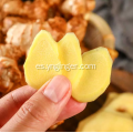 Jengibre amarillo pequeño orgánico de Yunnan